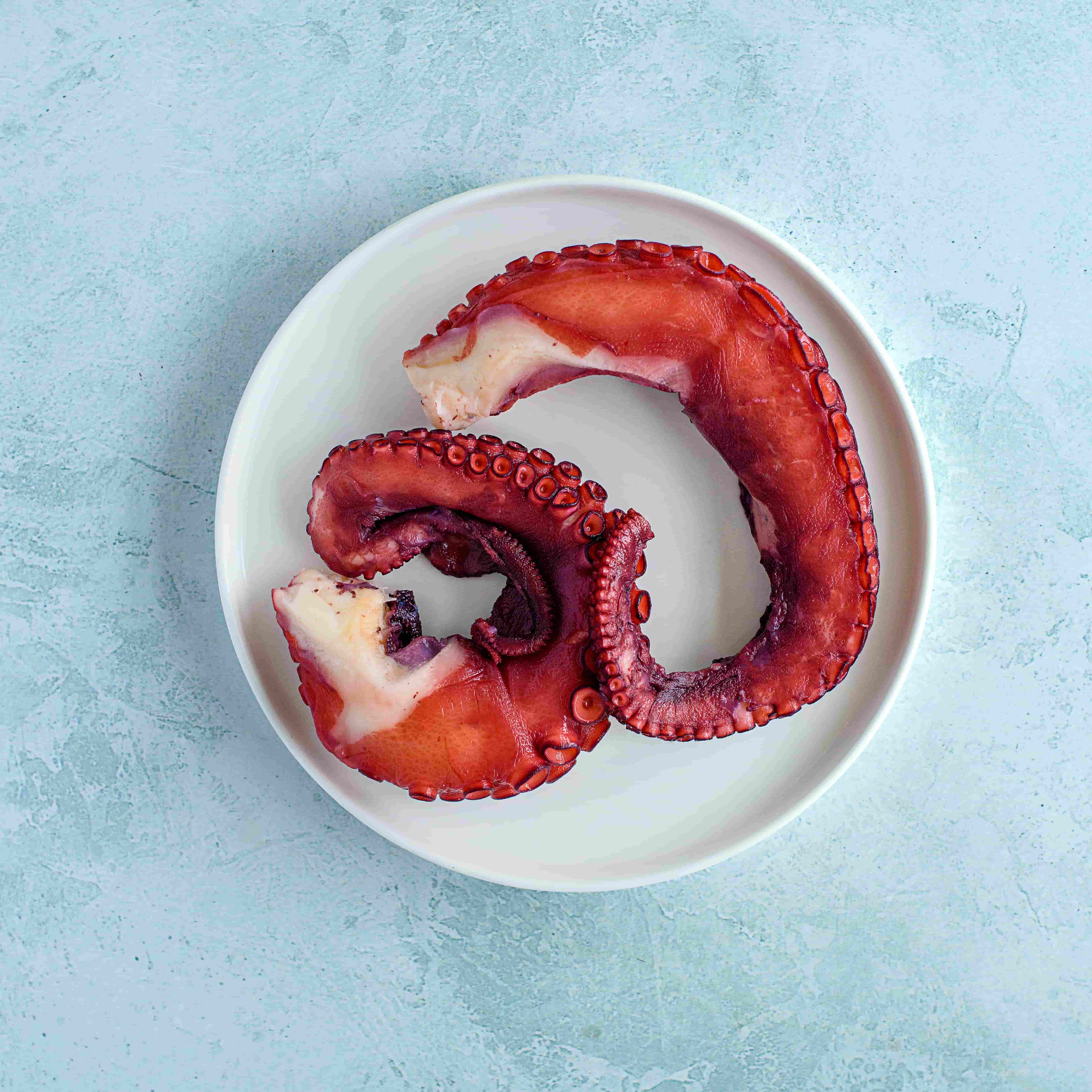 Octopus